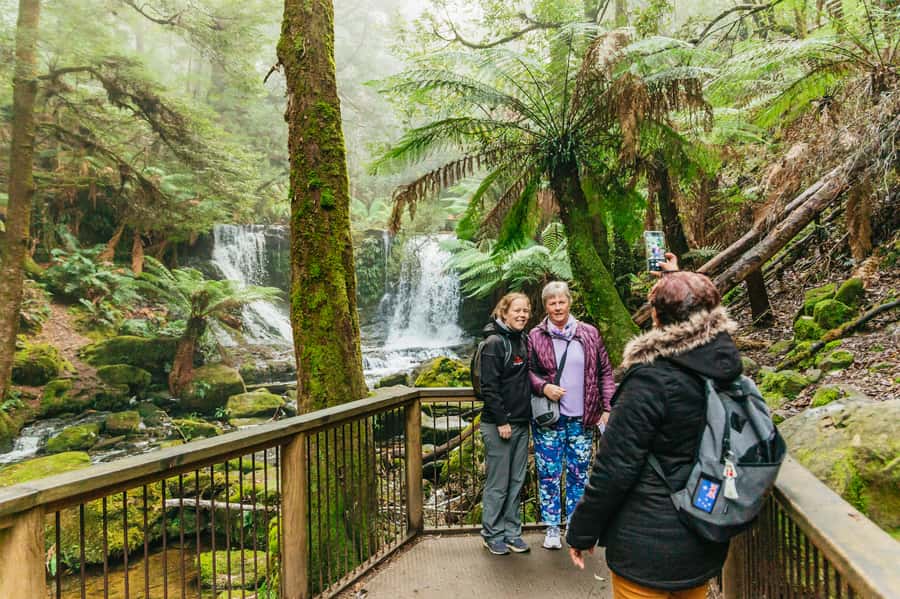 Hobart: Mt Wellington, Mt Field, Bonorong and Richmond Trip - A closer look at the $126 price