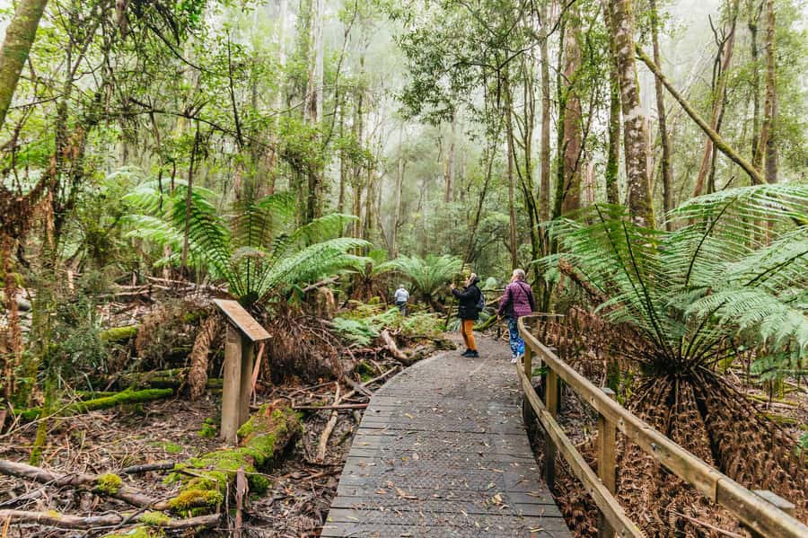 Hobart: Mt Wellington, Mt Field, Bonorong and Richmond Trip - Timing, pickup, and what to bring