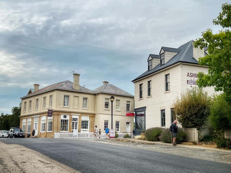 Hobart: Mt Wellington, Richmond, & Bonorong Wildlife Tour - Practical advice for a smoother day