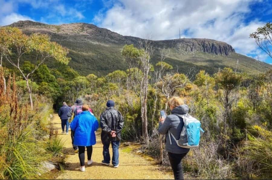 Hobart: Mt Wellington, Richmond, & Bonorong Wildlife Tour - Starting at Brooke Street Pier