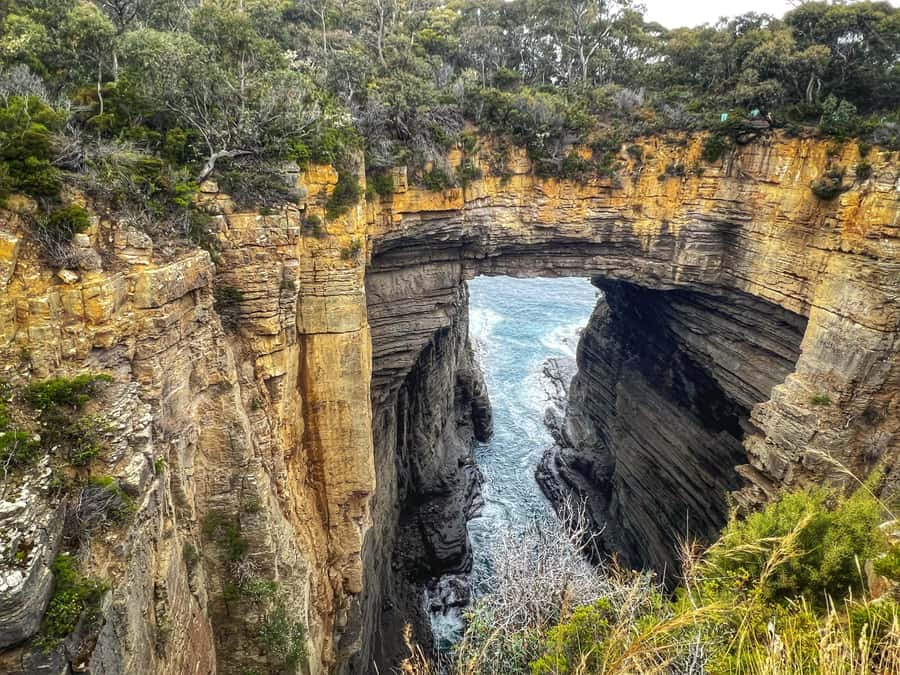 Hobart: Port Arthur, Harbor Cruise and Isle of the Dead Tour - Lunch, comfort, and the real pace of the day