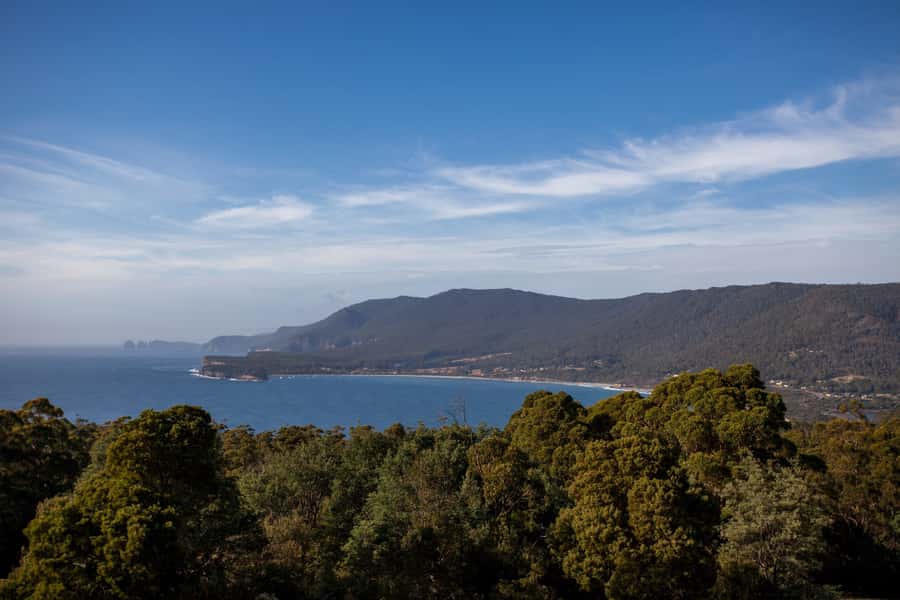 Hobart: Port Arthur, Richmond & Tassie Devil - Active Tour - Meeting Tasmanian devils at the Unzoo