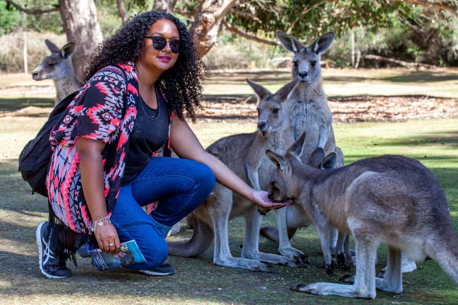 Hobart: Port Arthur, Richmond & Tassie Devil - Active Tour - The harbor cruise and Isle of the Dead
