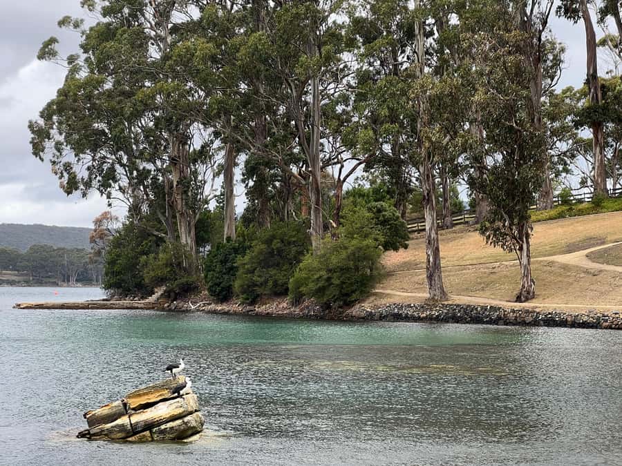 Hobart: Port Arthur & Tasman Park Full-Day Trip with Cruise - The Isle of the Dead Cruise