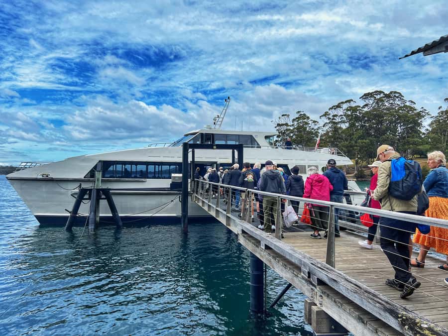 Hobart: Port Arthur & Tasman Park Full-Day Trip with Cruise - The Saturday Salamanca Market Version