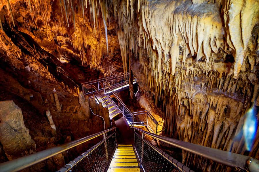 Hobart: Tahune Airwalk, Hastings Cave, Thermal Springs Tour - Key points to know before booking