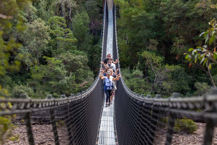 Hobart: Tahune Airwalk, Hastings Cave, Thermal Springs Tour - Walking above the Huon River at Tahune
