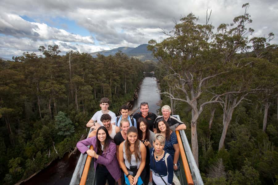 Hobart: Tahune Airwalk, Hastings Cave, Thermal Springs Tour - Swinging bridges and the longer forest circuit
