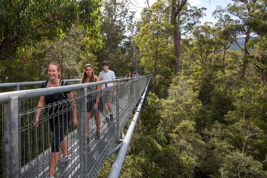 Hobart: Tahune Airwalk, Hastings Cave, Thermal Springs Tour - Hastings Cave, 40 metres below ground