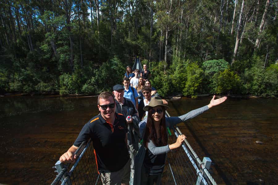Hobart: Tahune Airwalk, Hastings Cave, Thermal Springs Tour - What the $145 price really covers