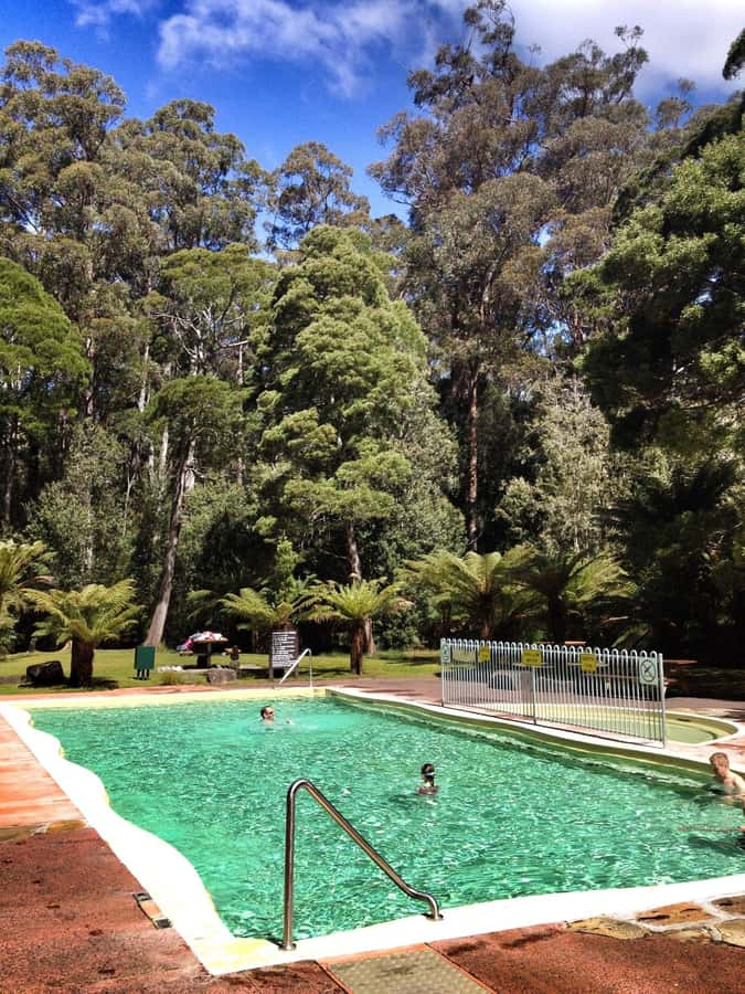 Hobart: Tahune Airwalk, Hastings Cave, Thermal Springs Tour - The Huon Valley road south from Hobart