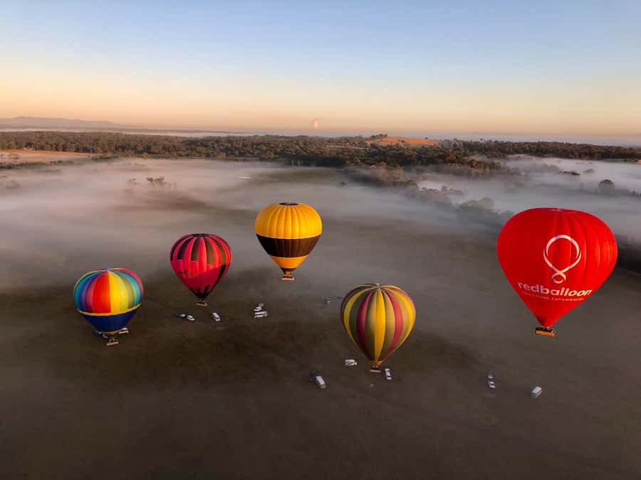 Hunter Valley: Sunrise Balloon Ride with Bubbly Breakfast - Sunrise above Pokolbin, Lovedale, and Rothbury