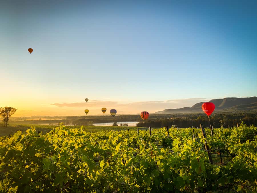 Hunter Valley: Sunrise Balloon Ride with Bubbly Breakfast - Peterson House turns the flight into a full morning