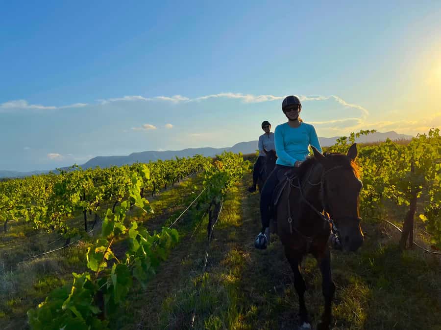 Hunter Valley: Sunset Horse Riding Tour 90min - Key points at a glance