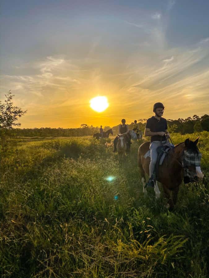 Hunter Valley: Sunset Horse Riding Tour 90min - Starting at Hunter Valley Resort