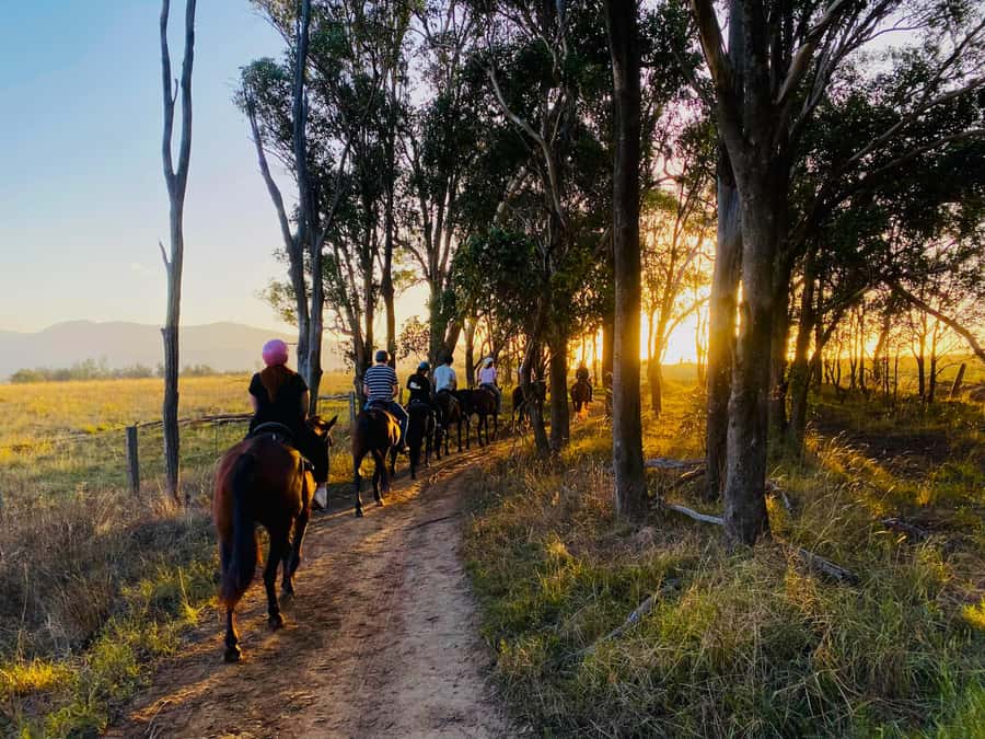Hunter Valley: Sunset Horse Riding Tour 90min - Vineyard views around Pokolbin
