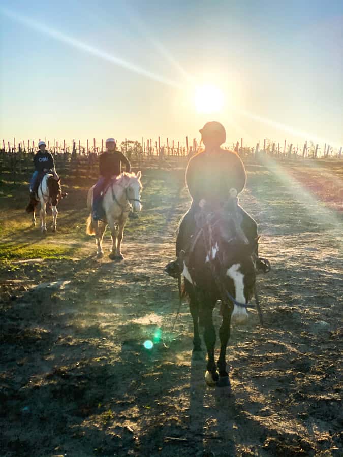 Hunter Valley: Sunset Horse Riding Tour 90min - Sunset over the Broken Back Range