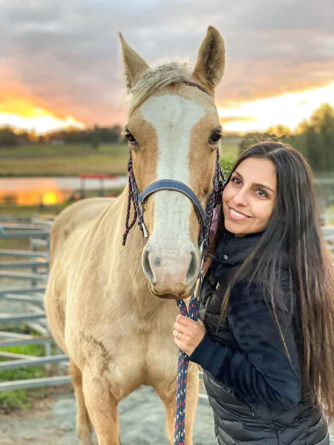 Hunter Valley: Sunset Horse Riding Tour 90min - What the 90-minute format feels like
