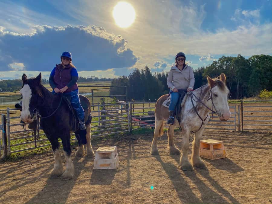 Hunter Valley: Sunset Horse Riding Tour 90min - Horses, guides, and rider comfort