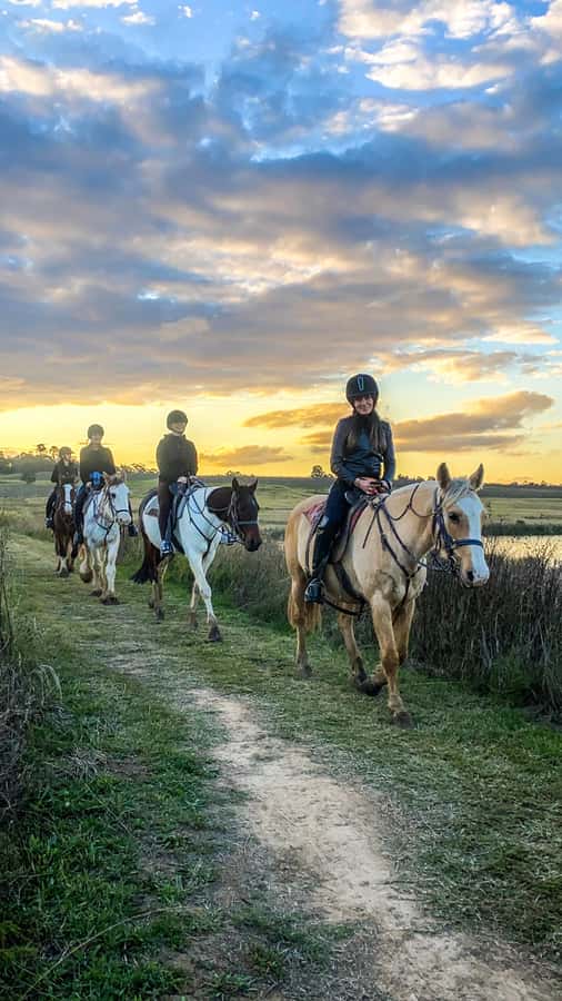 Hunter Valley: Sunset Horse Riding Tour 90min - Is $123 per person good value?