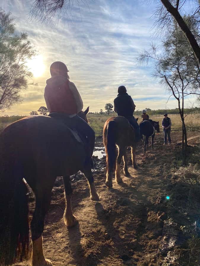 Hunter Valley: Sunset Horse Riding Tour 90min - Who should book this ride?