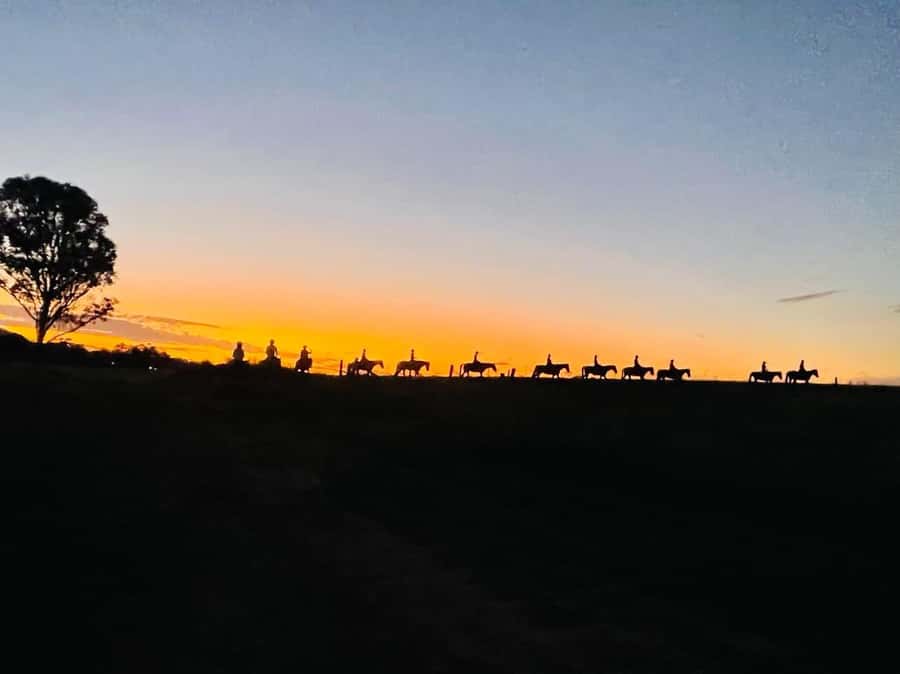 Hunter Valley: Sunset Horse Riding Tour 90min - The first steps through bushland and farmland