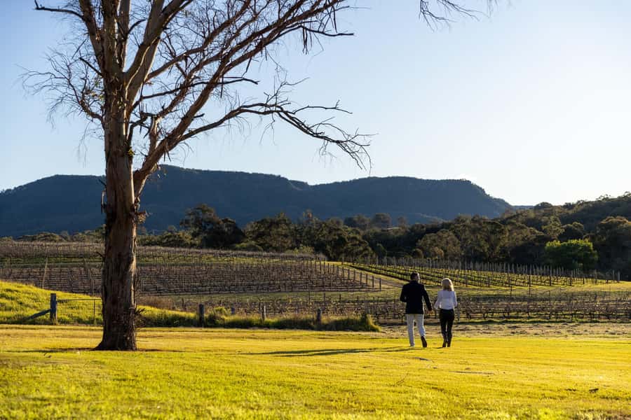 Hunter Valley: Wine and Cheese Tasting - Sitting on the alfresco deck above the vineyard