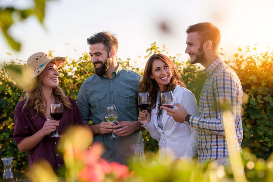 Hunter Valley: Wine, Chocolate and Lunch All Inclusive Tour - 4 Pines at the Farm: the day’s best food stop
