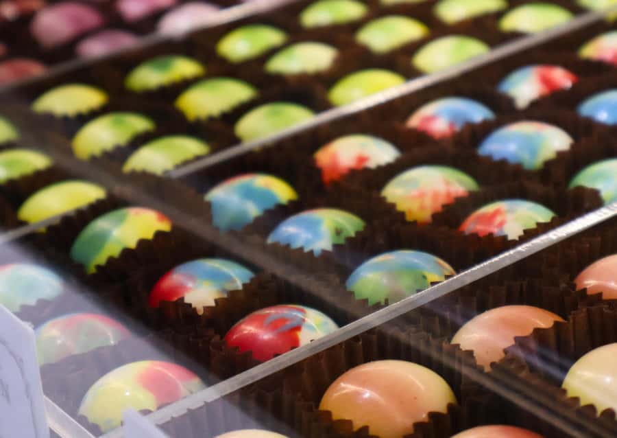 Hunter Valley: Wine, Chocolate and Lunch All Inclusive Tour - Who will enjoy this Hunter Valley day trip?