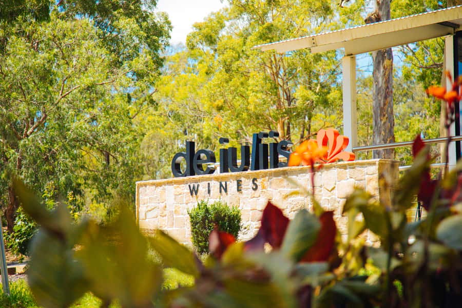 Hunter Valley: Wine, Spirits, and Cheese Tour with Lunch - Behind the scenes at wine production