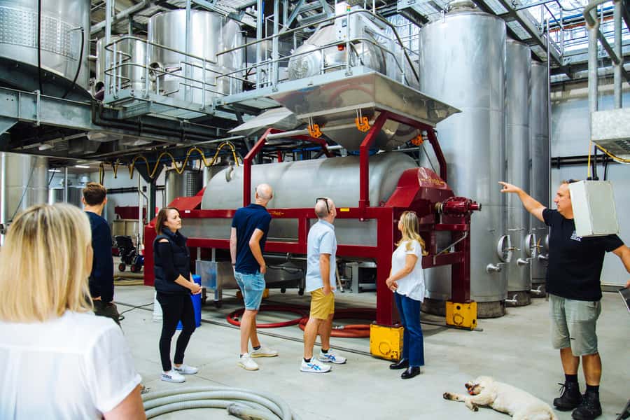 Hunter Valley: Wine, Spirits, and Cheese Tour with Lunch - Lunch with wine or beer
