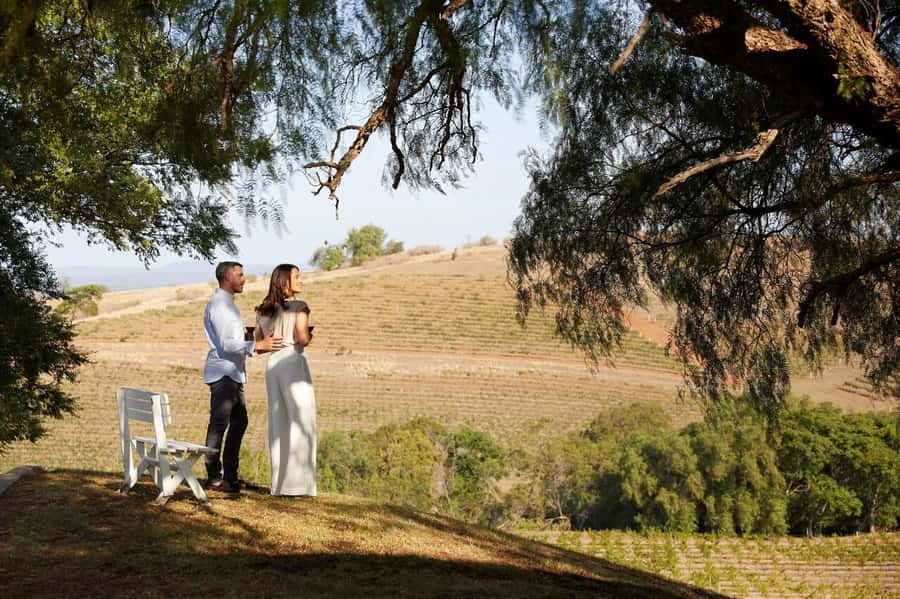 Hunter Valley: Wine Tour with 3 Tastings and Garden Lunch - How much value do you get for $166?