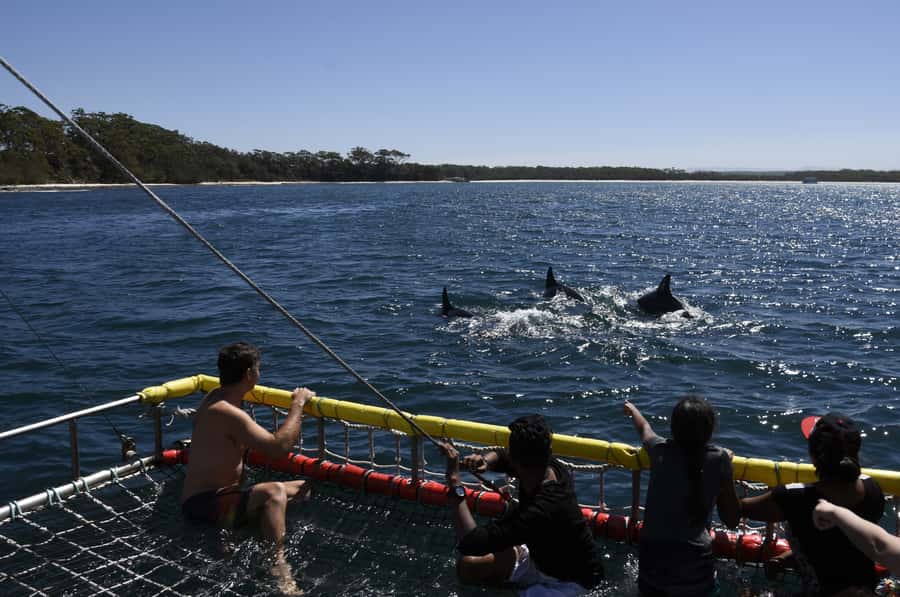 Huskisson: Dolphin Cruise & Boom Netting Experience - Setting Out From Huskisson Public Wharf
