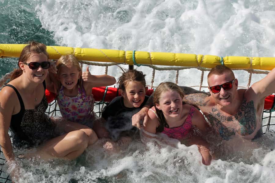 Huskisson: Dolphin Cruise & Boom Netting Experience - A Protected Bay With Wild Bottlenose Dolphins