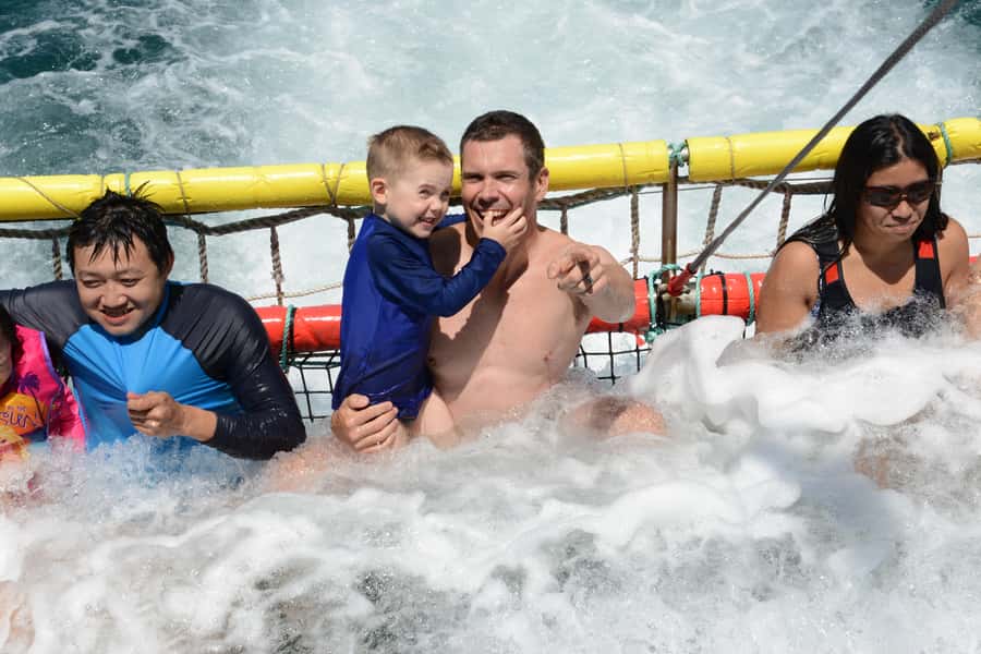 Huskisson: Dolphin Cruise & Boom Netting Experience - Boom Netting Turns the Cruise Into a Water Ride