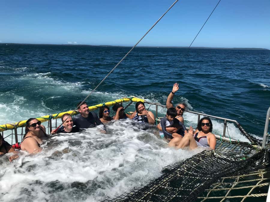 Huskisson: Dolphin Cruise & Boom Netting Experience - Weather, Dolphins, and the Main Drawback
