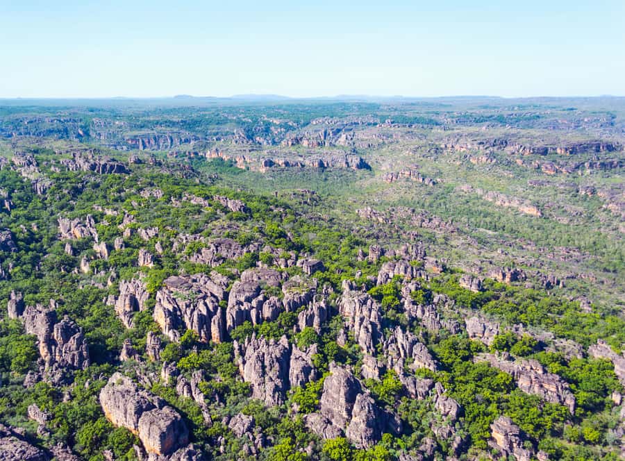 Jabiru: 30 minute Scenic flight over Kakadu National Park - Should you book the Jabiru scenic flight?