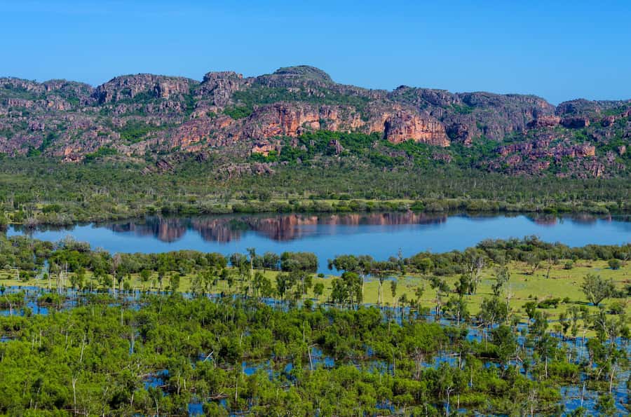 Jabiru: Guided Flight over Kakadu National Park - Key points to know before booking