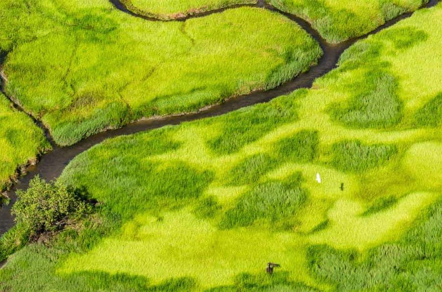Jabiru: Guided Flight over Kakadu National Park - Why seeing Kakadu from the air changes the picture