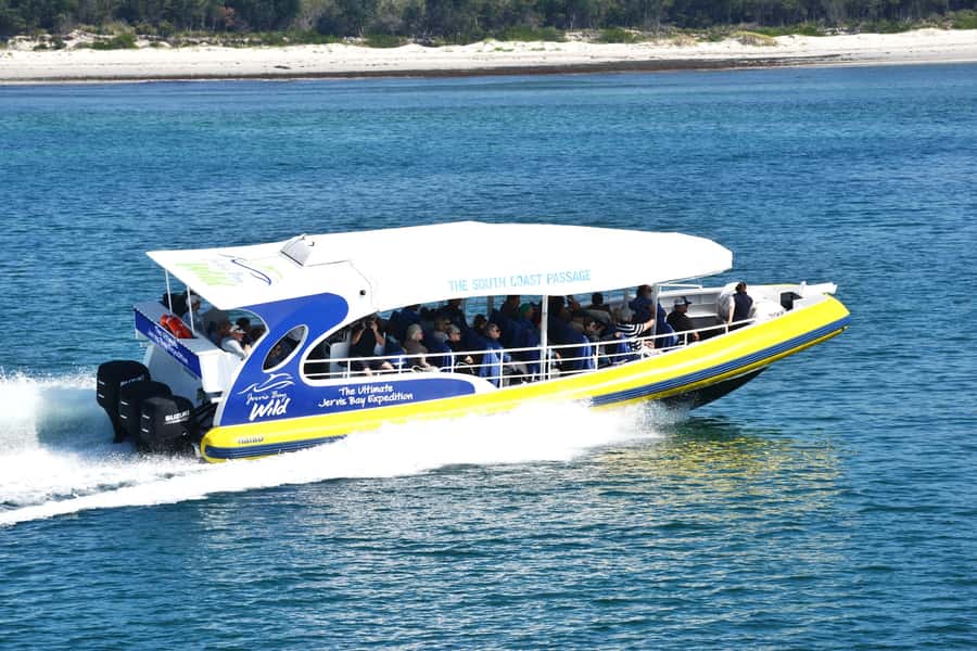 Jervis Bay: 2-Hour Cruise of Jervis Bay Passage - Key points to know before you book