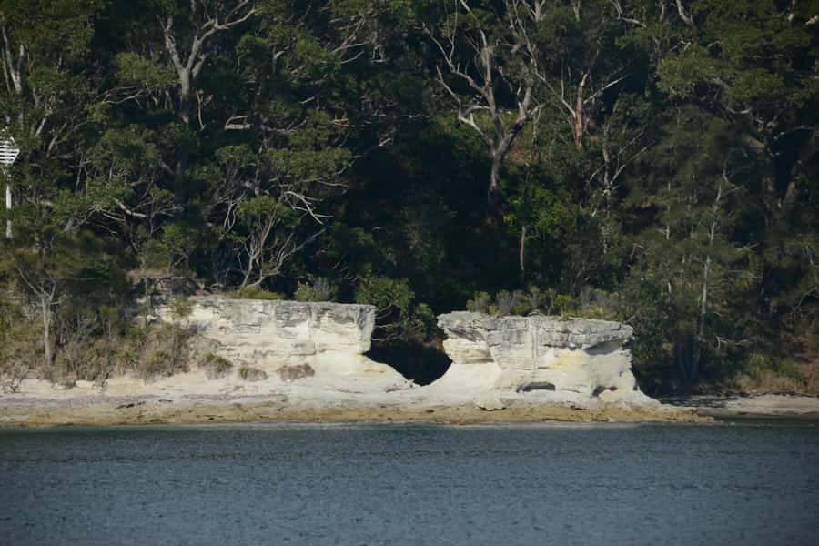 Jervis Bay: 2-Hour Cruise of Jervis Bay Passage - Dolphins, birds, and the luck factor