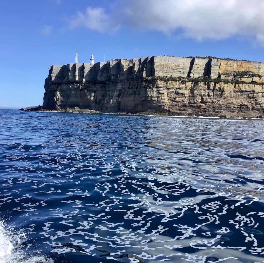 Jervis Bay: 2-Hour Cruise of Jervis Bay Passage - Is $63 good value for two hours?