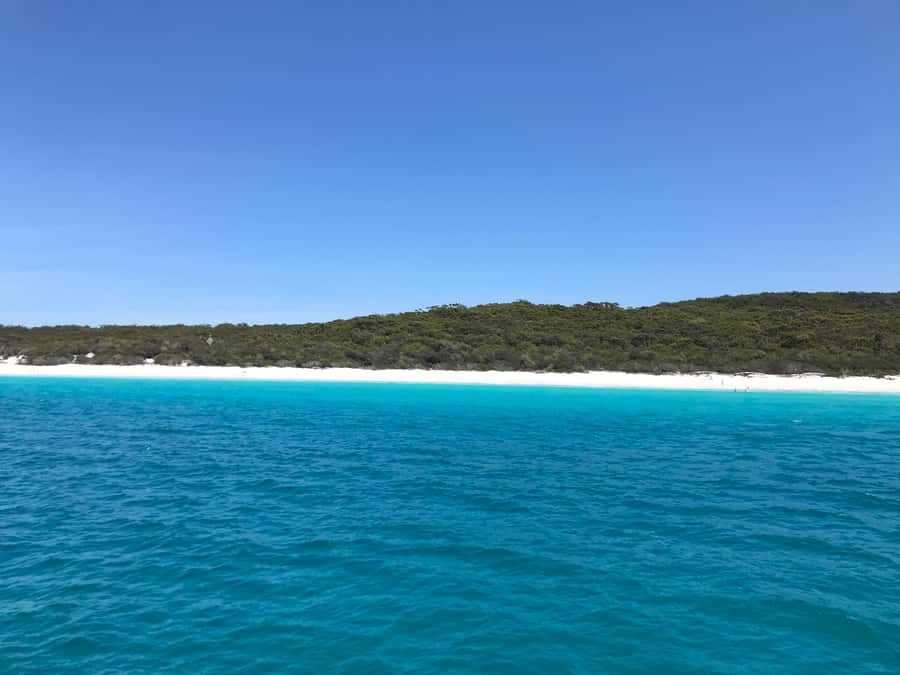 Jervis Bay: 2-Hour Cruise of Jervis Bay Passage - Who should book this Jervis Bay cruise?