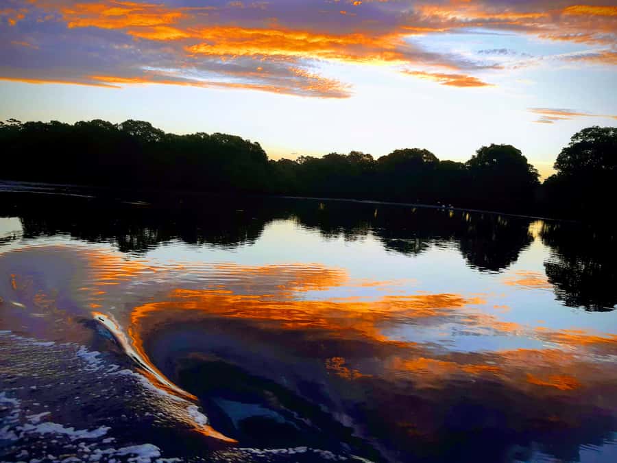 Jervis Bay: 2-Hour Sunset River Cruise - What the two-hour route feels like