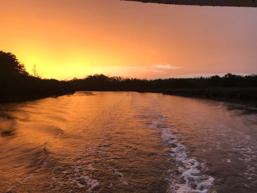 Jervis Bay: 2-Hour Sunset River Cruise - Pelicans, kingfishers, rays, and possible dolphins