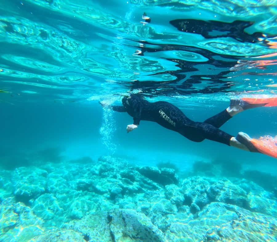 Jervis Bay: Guided Snorkelling Tour with expert guide - Snorkelling in Booderee National Park