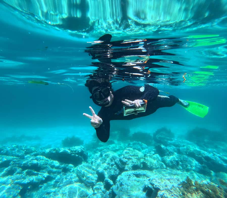 Jervis Bay: Guided Snorkelling Tour with expert guide - Who will enjoy this most