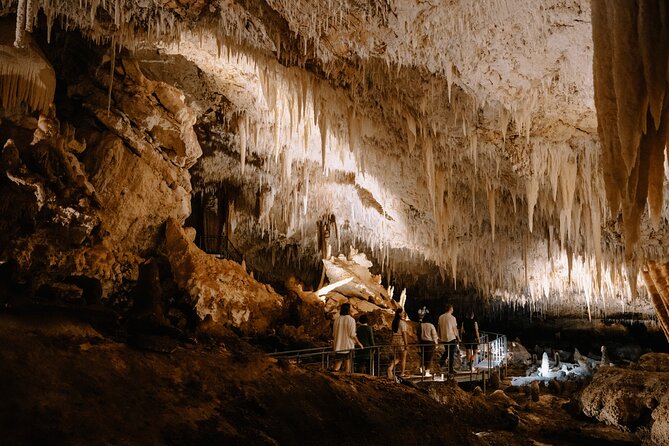 Jewel Cave Fully-guided Tour (Located in Western Australia) - The forest walk above the cave