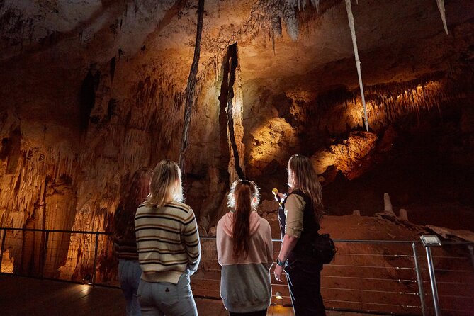 Jewel Cave Fully-guided Tour (Located in Western Australia) - Descending into one of Western Australia’s largest caves