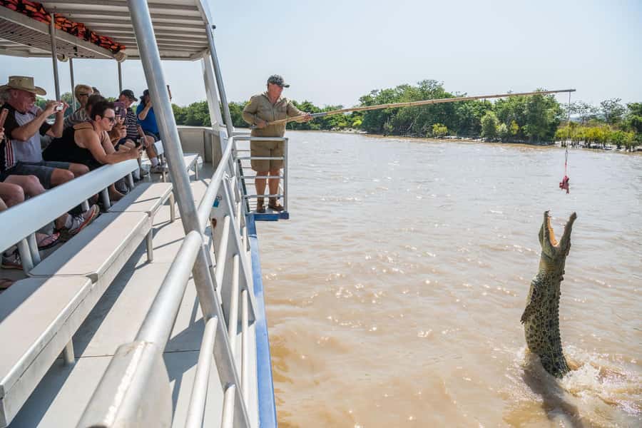 Jumping Crocodile Cruise from Darwin Half-Day Scenic Trip - Who will enjoy this cruise most?
